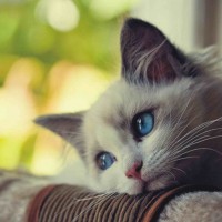 Avatar của Nguyễn Văn Nam